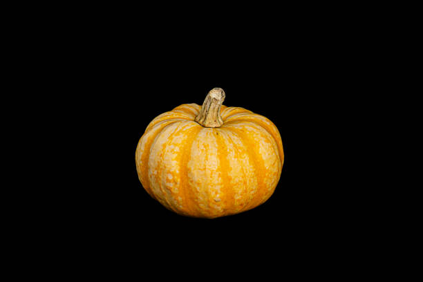 istock Isolated decorative small pumpkins of different varieties on a black background 1415187752