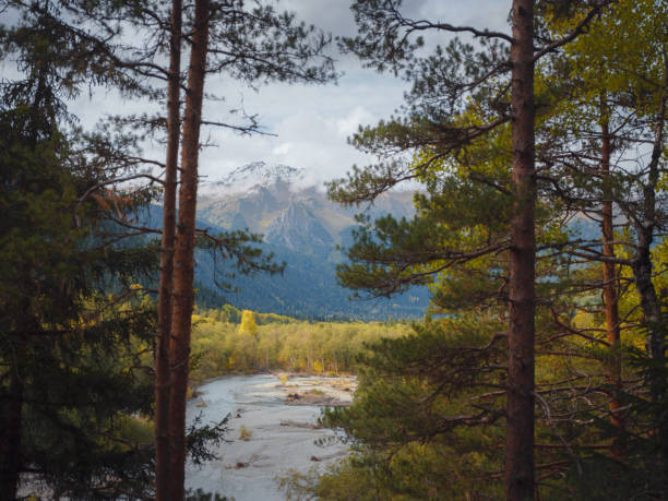 trip to Caucasus mountains, Arkhyz, Teberdinsky reserve. concept of discovery and exploration of wild places in early autumn. view from forest to river