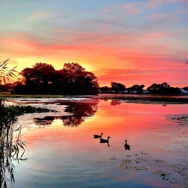 istock Lake at sunrise with ducks 1415194948