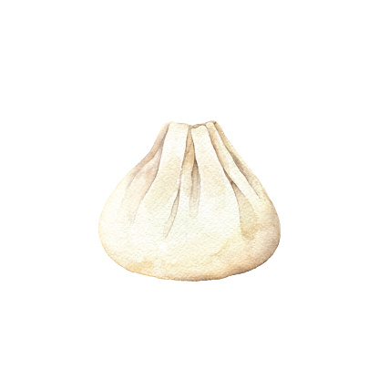 Watercolor dumpling. Vector tracing.