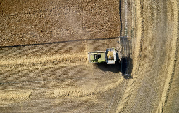 istock Directly above combine harvester 1415203200