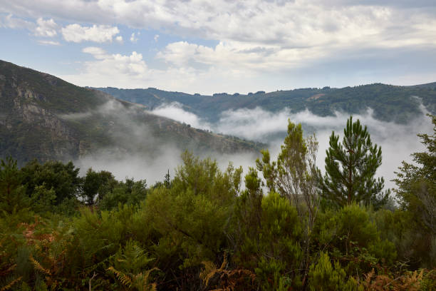 sierra de ancares (lugo). - spain flag built structure cloud imagens e fotografias de stock