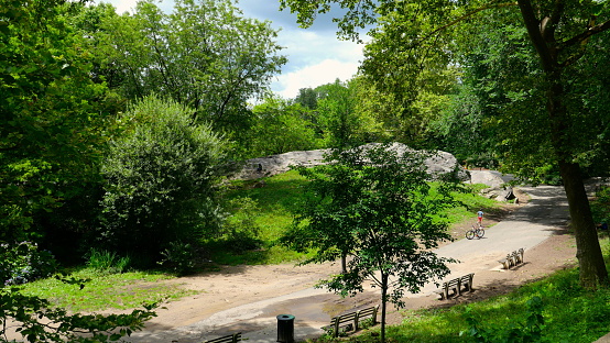 Walking Path in Central Park