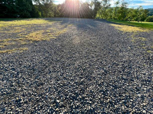 istock Morning Sun on Vacant Lot 1415206124