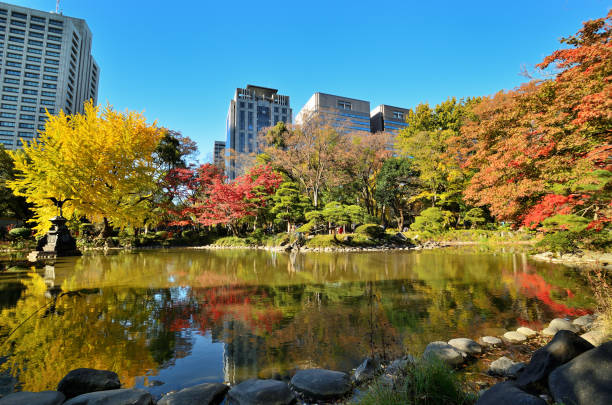 cenário de outono de hibiya park, chiyoda ward, tóquio - autumn sky nobody lake - fotografias e filmes do acervo