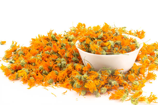 Dry orange Scotch marigold flowers in a white bowl Dry orange calendula flowers in a white ceramic bowl with heap of Scotch marigold isolated on white background. Pot marigold is medical herbs. Calendula flower for infusion tea or cosmetic field marigold stock pictures, royalty-free photos & images