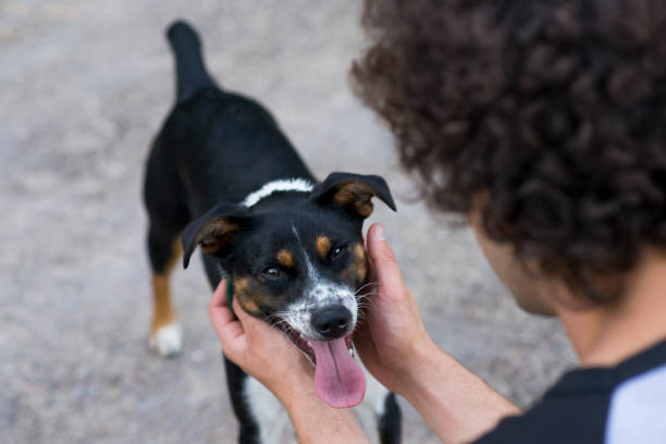 istock Dog in Pure Joy 1415208343