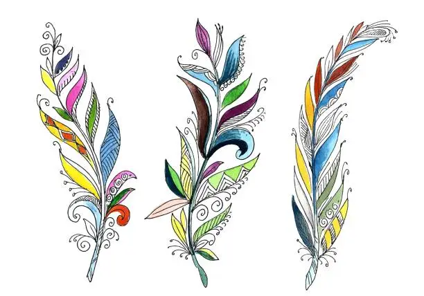 Vector illustration of Hand drawn floral feathers watercolor set on white background