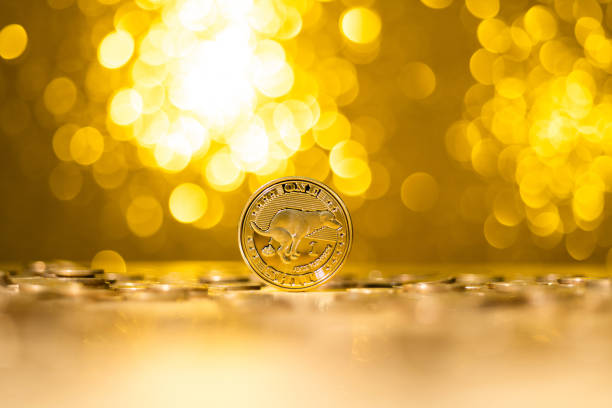 Fujian, China - December 28, 2021: Shiba Inu cryptocurrency on shiny background.