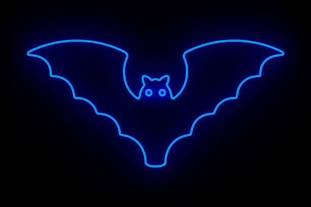 You can see straight through the thin wing membrane revealing the bone and vein structure of these Australian Flying fox wings as they leave their roosts in search of food.