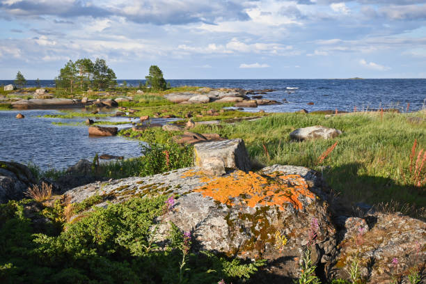 istock The White Sea coast. 1415220262