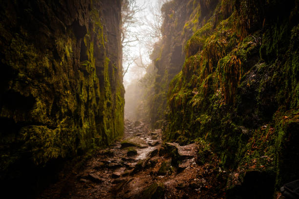 A misty dawn scene in Lud's Church