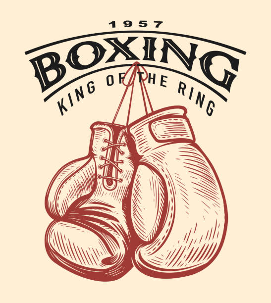 illustrations, cliparts, dessins animés et icônes de croquis de gants de boxe. emblème rétro du sport de boxe. illustration vectorielle dessinée à la main dans un style de gravure vintage - boxing ring combative sport fighting conflict