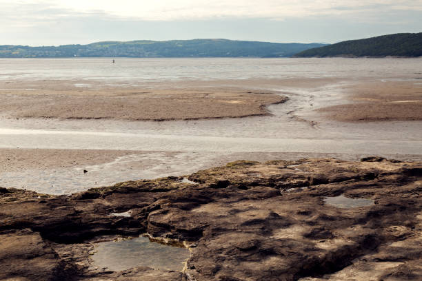 istock Landscape of the sea at low tide 1415224082