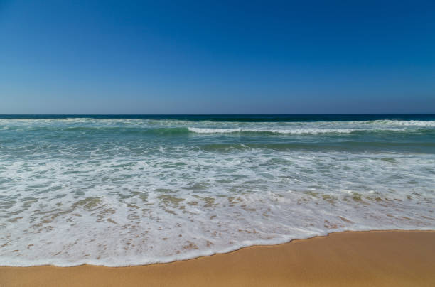 istock Comporta beach in Portugal 1415224412