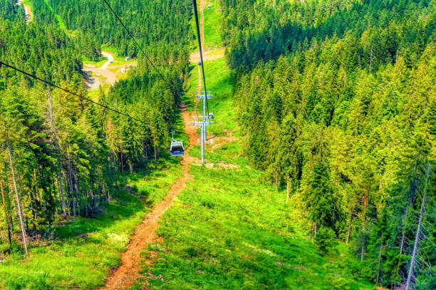 istock Mountain landscape during summer day at Zlatibor. 1415227515