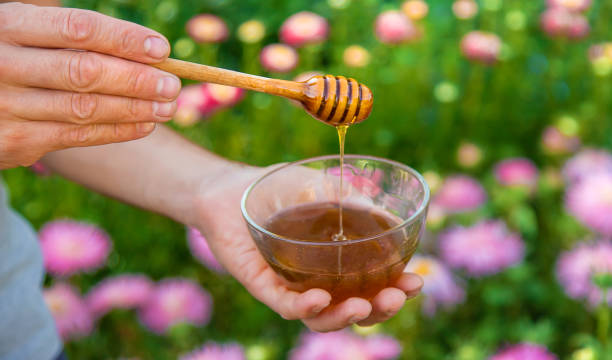 istock Flower honey in the hands of a man. Selective focus. 1415228383