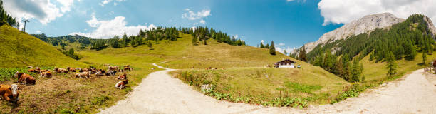 istock panoramic web banner of landscape at mountain Jenner, route Mitterkaseralm. 1415228704
