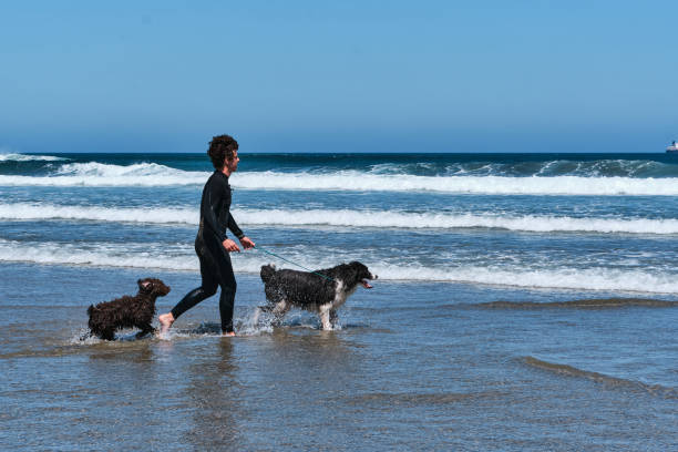 istock Young surfer walking by the seaside with his dogs 1415233888