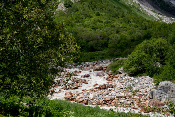 River in the forest, stone path in the mountains.