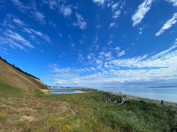 Whidbey Island Summer