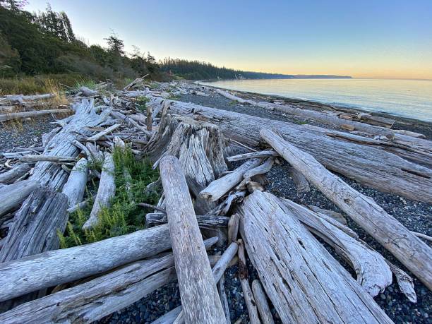 istock Whidbey Island Summer 1415234463