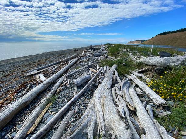 istock Whidbey Island Summer 1415234615
