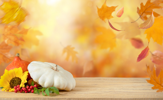 Festive autumn background with pumpkin and fallen leaves, copy space.