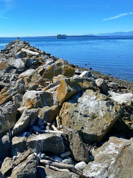 istock Whidbey Island Summer 1415235317