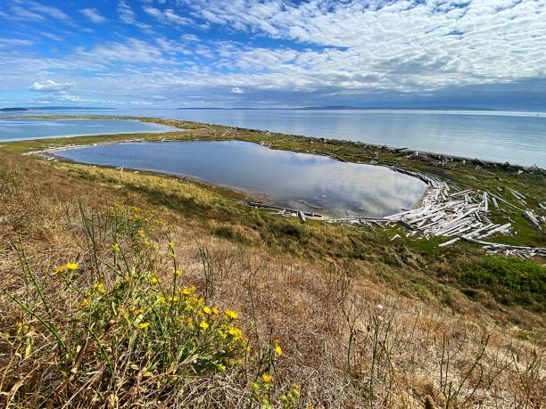 istock Whidbey Island Summer 1415235331