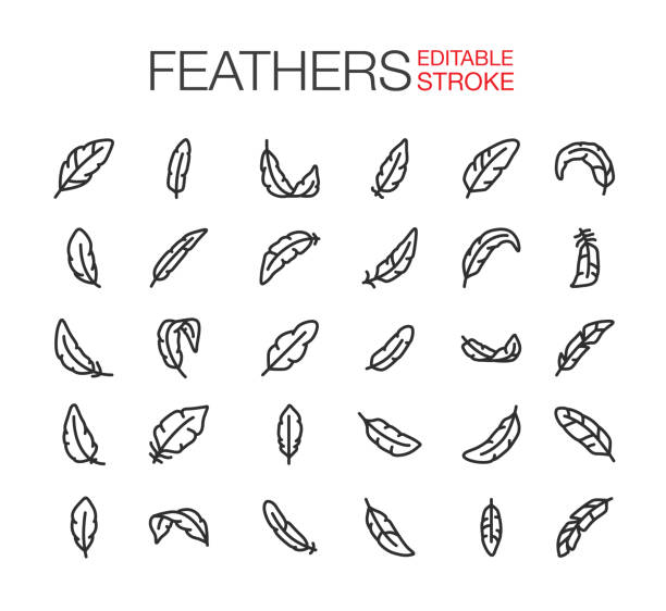 illustrations, cliparts, dessins animés et icônes de icônes de plumes contour modifiable - silhouette feather vector white