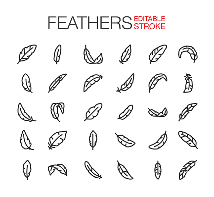 Feathers icons editable stroke. Vector illustration.
