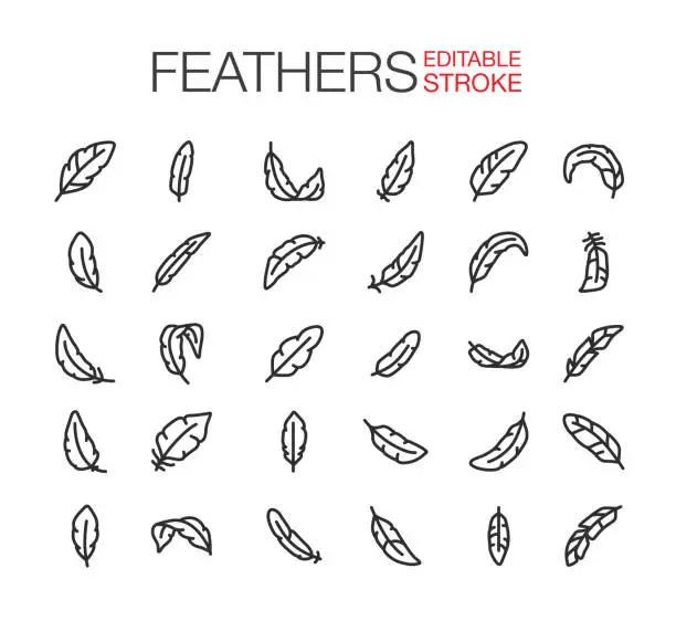 Vector illustration of Feathers Icons Editable Stroke