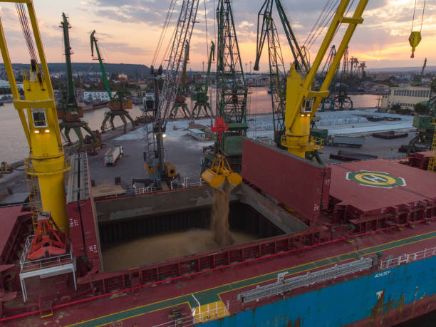 Aerial view of cargo ship bulk carrier is loaded with grain of wheat in port at sunset stock photo