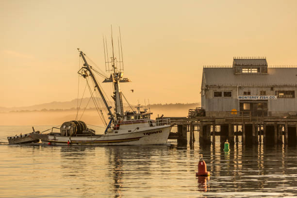 Monterey Fishing Monterey California, USA - February 12, 2020: Monterey Fish Company and the Triunfo fish trawler, prepare for an early start to the day under clear conditions in the Monterey Bay. monterey bay stock pictures, royalty-free photos & images