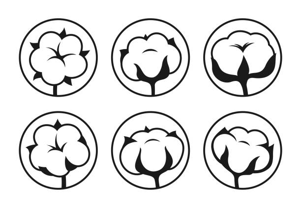 Cotton flower simple sign stencil stamp set blossom fluffy fiber symbol icon herb engraved vector Cotton flower simple sign or stencil stamp set. Natural blossom fluffy fiber symbol. Botanical icon herb, rustic trendy greenery. Engraved ripe cotton boll fiber emblem monochrome isolated vector cotton stock illustrations