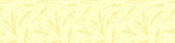 Vector illustration of Wheat golden spikelets and grains, vector yellow seamless pattern in flat style, isolated. Design of print, wrapping paper, packaging on theme of bakery products, flour, harvest, thanksgiving