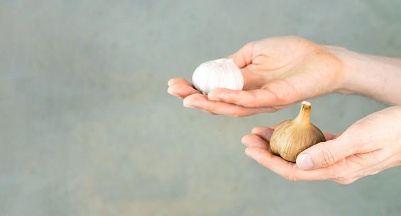 Hands with white and black garlic bulbs. Garlic and fermented garlic in the hands on a gray green background. Fermented food, healthy nutrition, self-care. Copy space. Horizontal.