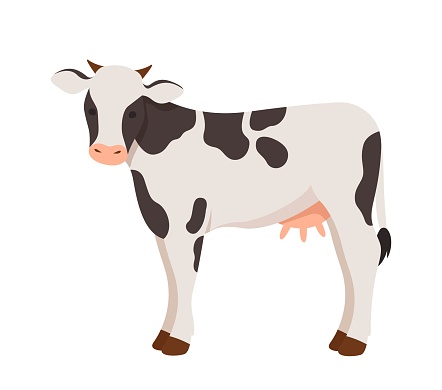 Cute cow icon. Sticker for social networks, graphic element for website. Animals, mammal, fauna and nature, farming and agriculture. Toy and mascot for children. Cartoon flat vector illustration