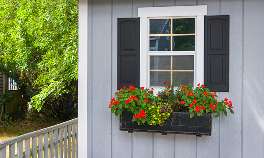 A single window box on a shed overflows with red, yellow and purple flowers.