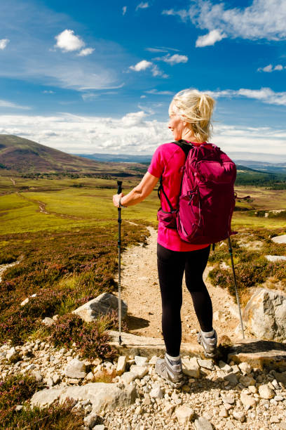 istock Looking North, Cairngorms, Scotland 1415249918
