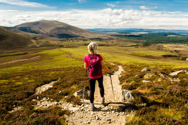 istock Looking North, Cairngorms, Scotland 1415249979