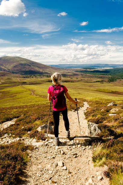 istock Looking North, Cairngorms, Scotland 1415250052