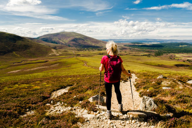 istock Looking North, Cairngorms, Scotland 1415250192