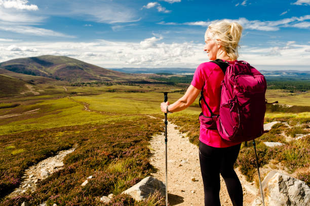 istock Looking North, Cairngorms, Scotland 1415250352
