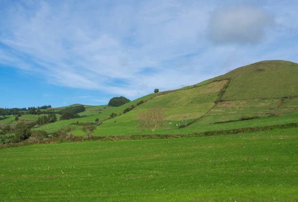 istock Lush green grass hills with fields and pastures, blue sky and white clouds, typical landscape of Sao Miguel island, Azores, Portugal 1415250449