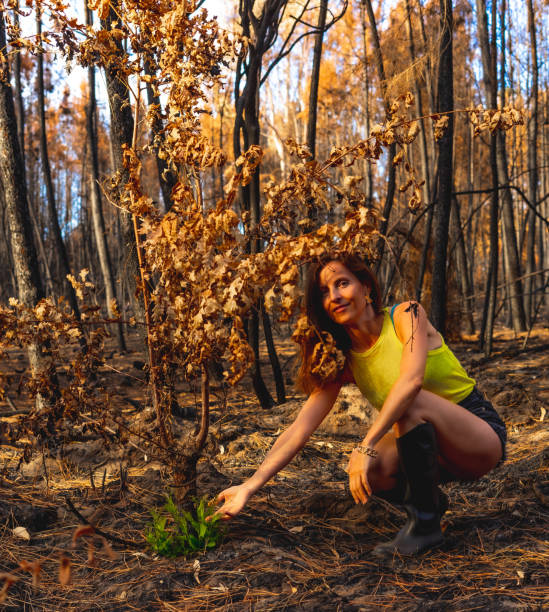 A young Indian woman sits gracefully on a fallen tree trunk in a mist-shrouded forest. Perfect for outdoor, nature, and contemplative lifestyle themes.