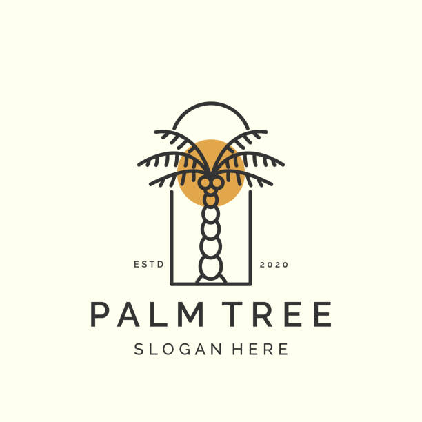 ilustrações, clipart, desenhos animados e ícones de linha art palm tree minimalista com design de modelo de ícone de logotipo estilo emblema. coqueiro, palmeira de data, ilustração vetorial - palm tree coconut palm tree vector tree