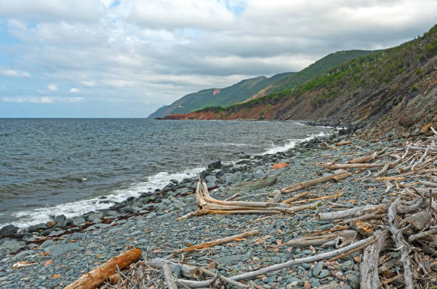 istock Driftwood on a Remote Rocky Coast 1415253064