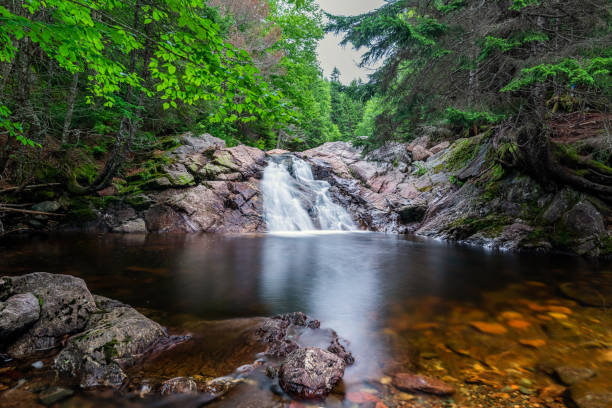 istock Waterfall between the Rocky Mountains and Jungle in Canada 1415257381